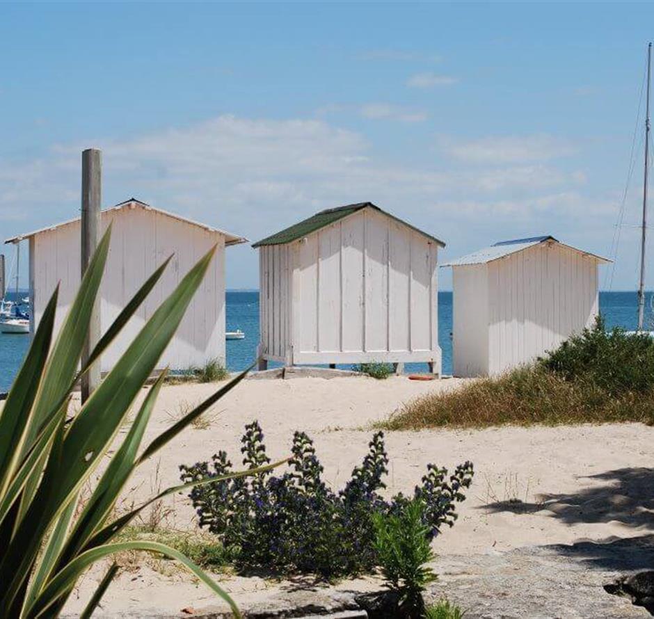 Insel Noirmoutier in der Nähe des 3-Sterne-Campingplatzes Les Sirènes in Saint-Jean-de-Monts 