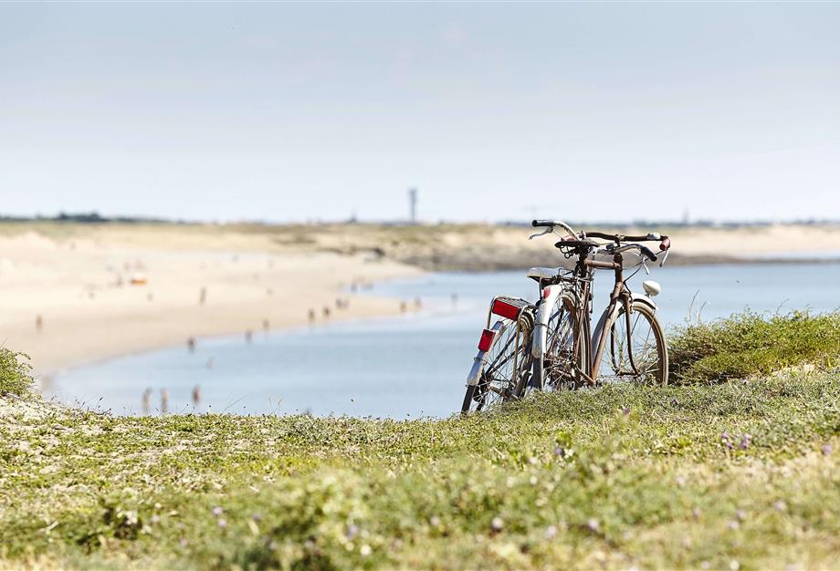 Entdecken Sie die Vendée mit dem Fahrrad - CAMPING**** Les Sirènes