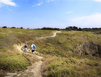 Wandern Sie in der Nähe des 3-Sterne-Campingplatzes Les Sirènes in Saint-Jean-de-Monts