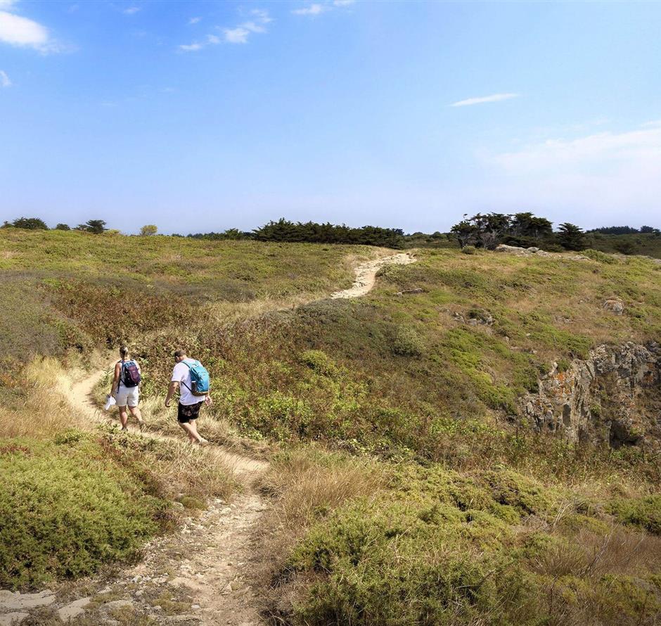 Wandern Sie in der Nähe des 3-Sterne-Campingplatzes Les Sirènes in Saint-Jean-de-Monts 
