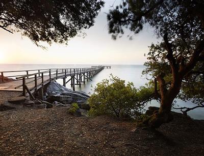 Insel Noirmoutier in der Nähe des 3-Sterne-Campingplatzes Les Sirènes in Saint-Jean-de-Monts