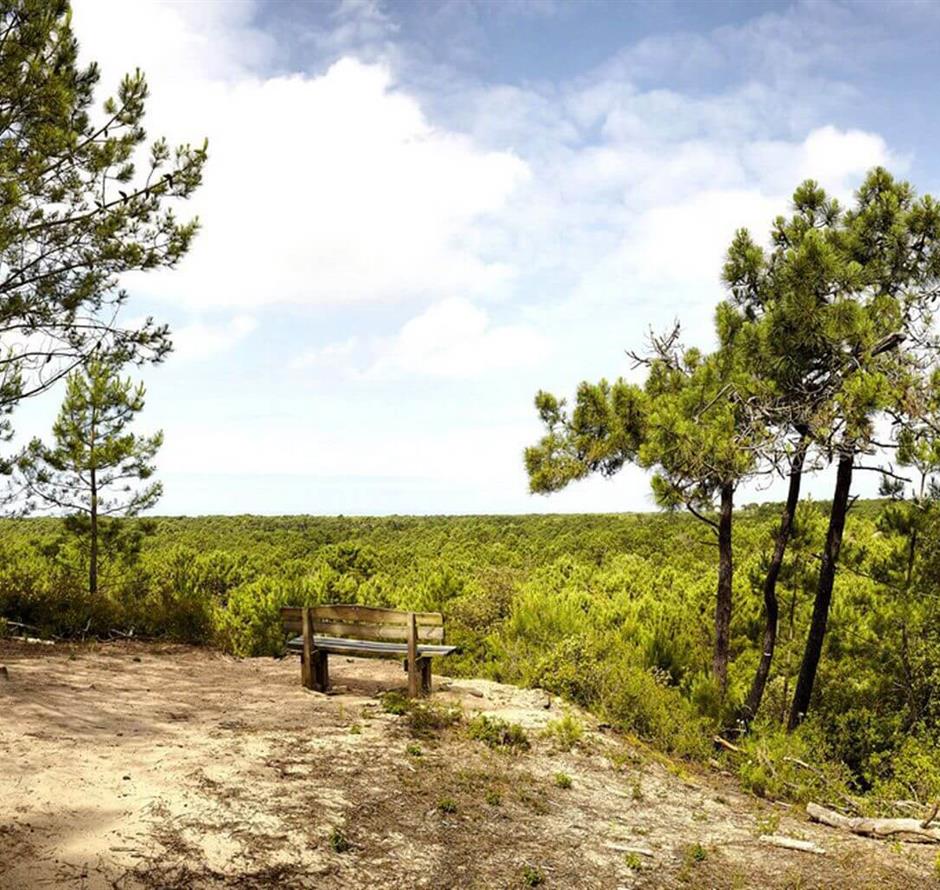 Saint-Jean-de-Monts, around the 3-star Les Sirènes campsite in Vendée 