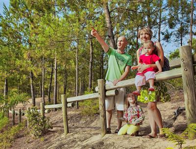 Wald des Pays de Saint-Jean-de-Monts in der Vendée in der Nähe des 3-Sterne-Campingplatzes Les Sirènes