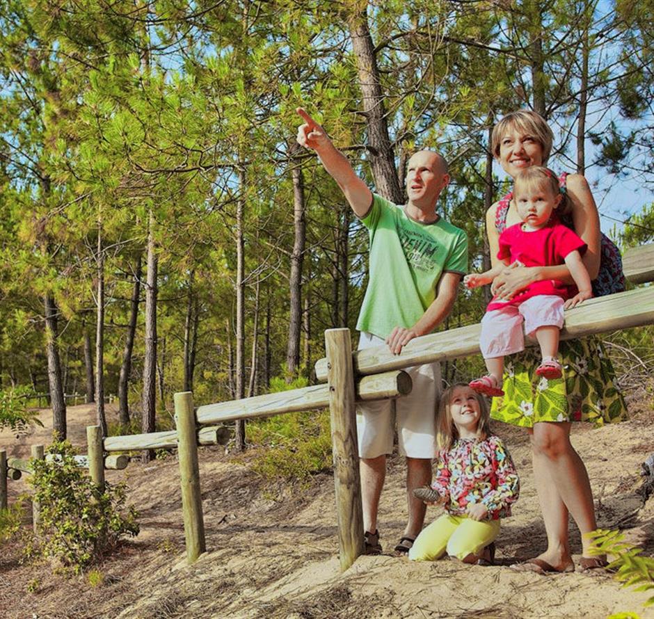 Wald des Pays de Saint-Jean-de-Monts in der Vendée in der Nähe des 3-Sterne-Campingplatzes Les Sirènes 