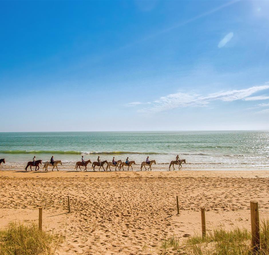 Verschiedene Aktivitäten in der Natur rund um den 3-Sterne-Campingplatz Les Sirènes 