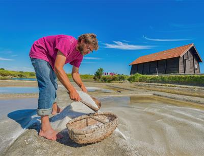 Verschiedene Aktivitäten in der Natur rund um den 3-Sterne-Campingplatz Les Sirènes