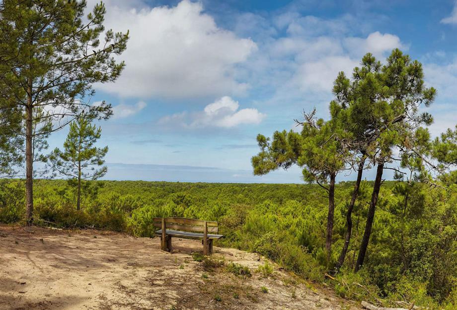 Aktivitäten und Sehenswürdigkeiten in der Nähe des 3-Sterne-Campingplatzes Les Sirènes in Saint-Jean-de-Monts - CAMPING**** Les Sirènes