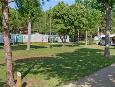 Kahle Stellplätze ohne Strom auf dem Campingplatz Les Sirènes in Saint-Jean-de-Monts