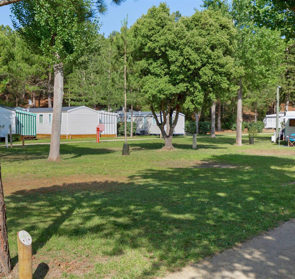Kahle Stellplätze ohne Strom auf dem Campingplatz Les Sirènes in Saint-Jean-de-Monts 