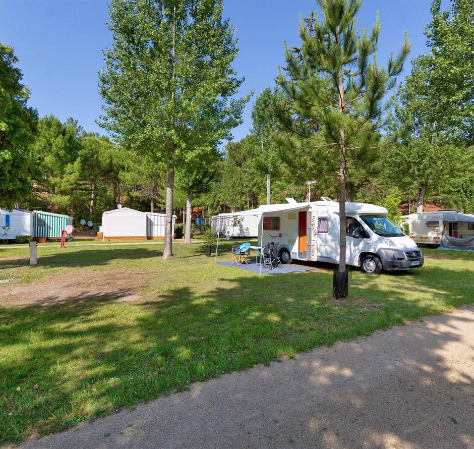 Kahle Stellplätze mit Strom 2 Blumen auf Camping Les Sirènes 