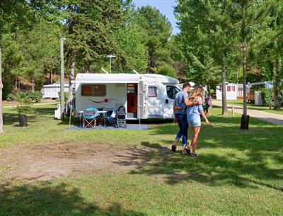 Kahle Stellplätze mit Strom 2 Blumen auf Camping Les Sirènes