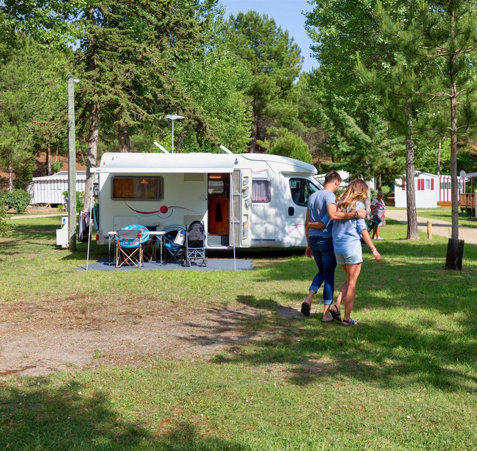 Kahle Stellplätze mit Strom 2 Blumen auf Camping Les Sirènes 