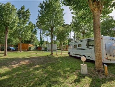 Kahle Stellplätze mit Strom 2 Blumen auf Camping Les Sirènes