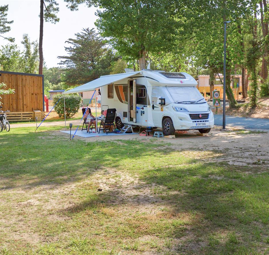 Kahle Stellplätze mit Strom 2 Blumen auf Camping Les Sirènes 
