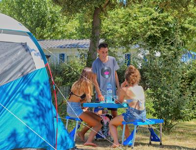 Kahle Stellplätze ohne Strom auf dem Campingplatz Les Sirènes in Saint-Jean-de-Monts