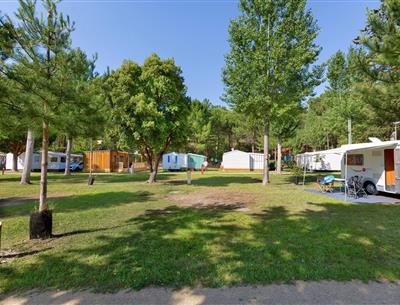 Kahle Stellplätze ohne Strom auf dem Campingplatz Les Sirènes in Saint-Jean-de-Monts