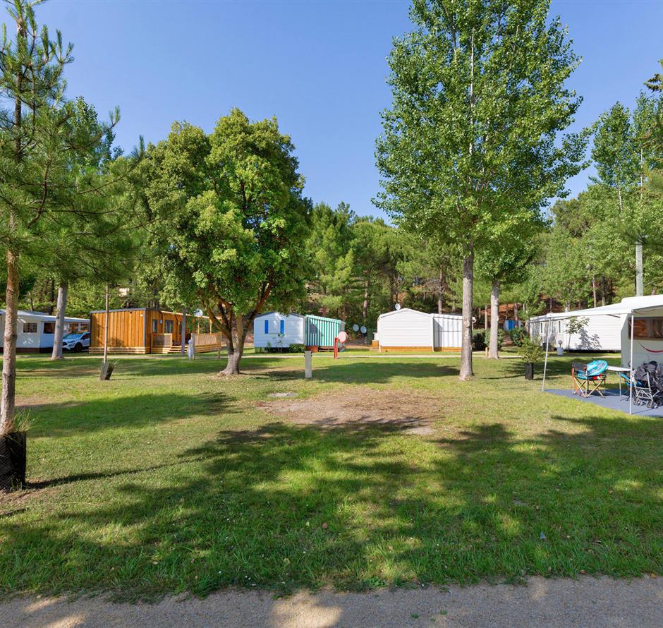 Kahle Stellplätze ohne Strom auf dem Campingplatz Les Sirènes in Saint-Jean-de-Monts 