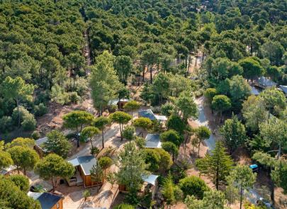 Natur und Pinienwälder auf dem 3-Sterne-Campingplatz Les Sirènes in Saint-Jean-de-Monts - CAMPING**** Les Sirènes