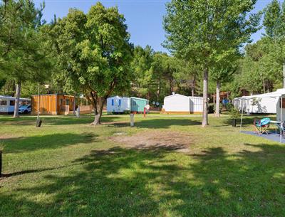 Kahle Stellplätze ohne Strom auf dem Campingplatz Les Sirènes in Saint-Jean-de-Monts