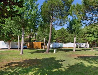 Kahle Stellplätze ohne Strom auf dem Campingplatz Les Sirènes in Saint-Jean-de-Monts