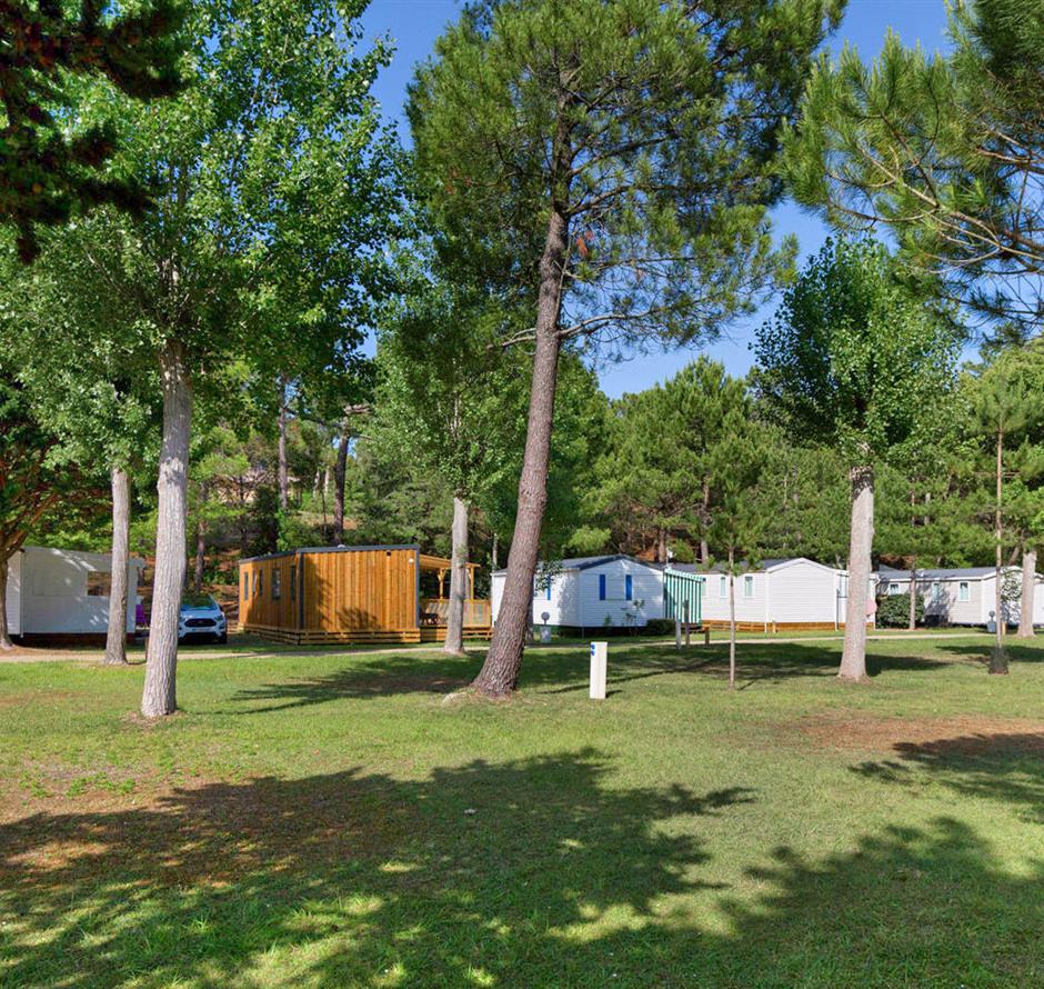 Kahle Stellplätze ohne Strom auf dem Campingplatz Les Sirènes in Saint-Jean-de-Monts 