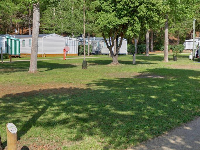 Kahle Stellplätze ohne Strom auf dem Campingplatz Les Sirènes in Saint-Jean-de-Monts