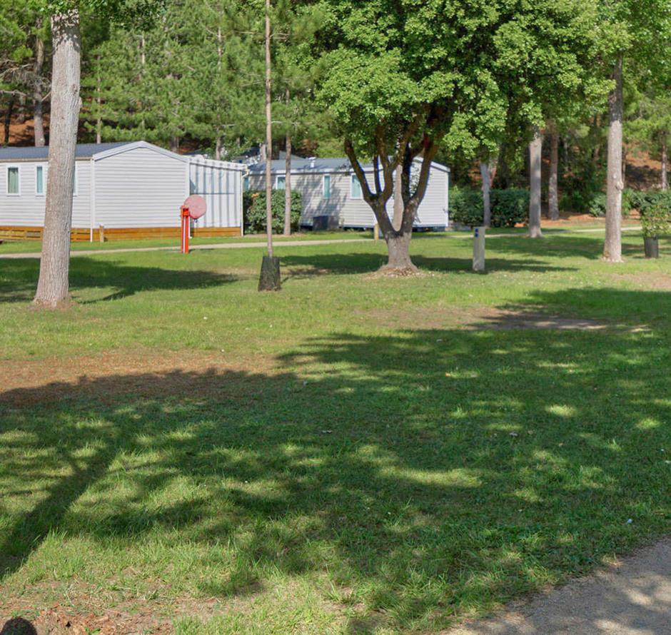 Kahle Stellplätze ohne Strom auf dem Campingplatz Les Sirènes in Saint-Jean-de-Monts 