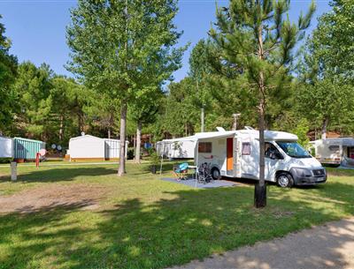 Kahle Stellplätze mit Strom 2 Blumen auf Camping Les Sirènes