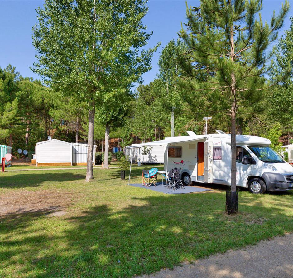 Kahle Stellplätze mit Strom 2 Blumen auf Camping Les Sirènes 