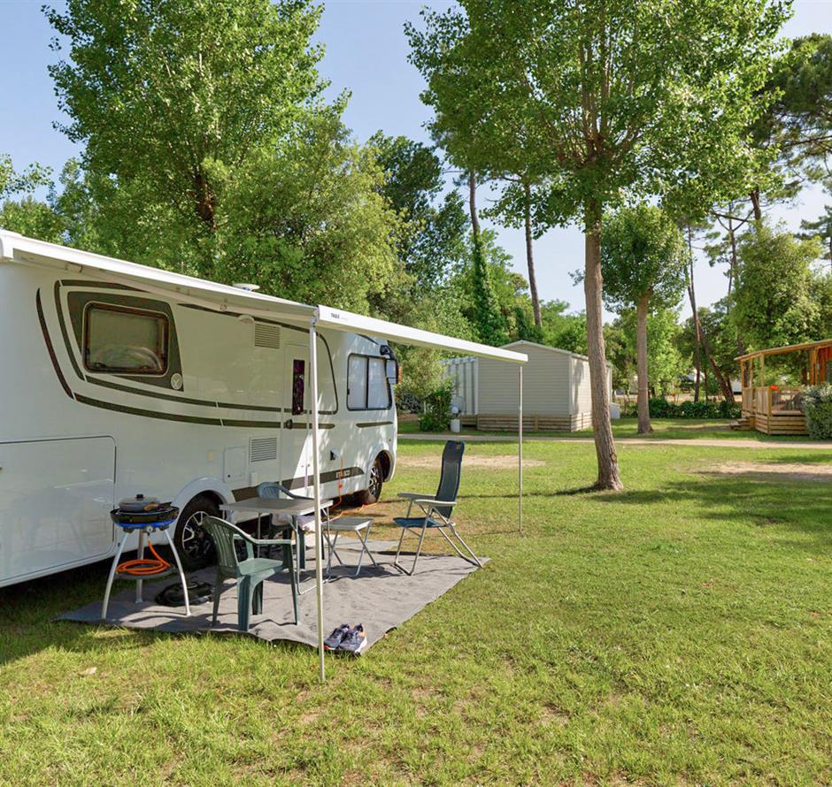 Kahle Stellplätze mit Strom 2 Blumen auf Camping Les Sirènes 