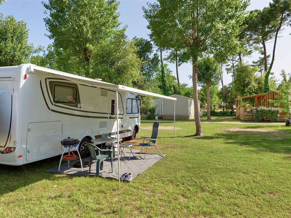 Kahle Stellplätze mit Strom 2 Blumen auf Camping Les Sirènes - CAMPING**** Les Sirènes