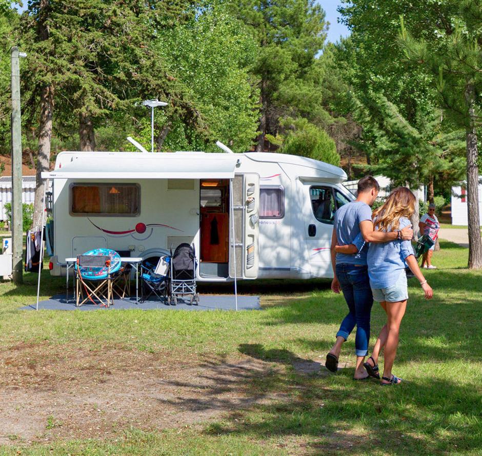 Kahle Stellplätze mit Strom 2 Blumen auf Camping Les Sirènes 