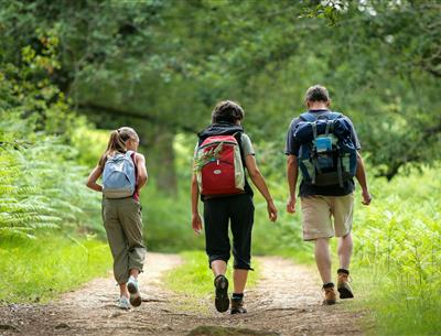 Wandern Sie in der Nähe des 3-Sterne-Campingplatzes Les Sirènes in Saint-Jean-de-Monts