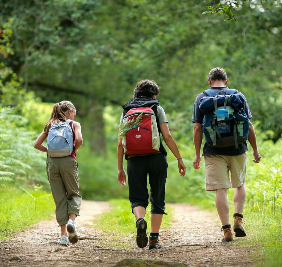 Wandern Sie in der Nähe des 3-Sterne-Campingplatzes Les Sirènes in Saint-Jean-de-Monts 