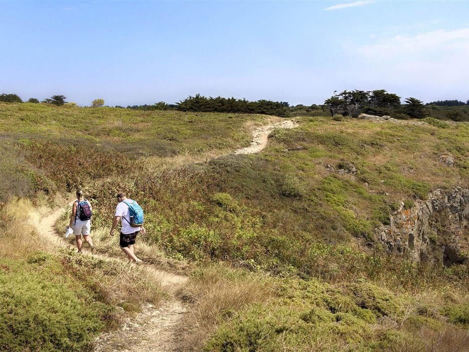 Wandern Sie in der Nähe des 3-Sterne-Campingplatzes Les Sirènes in Saint-Jean-de-Monts - CAMPING**** Les Sirènes