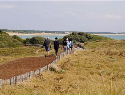 Wandern Sie in der Nähe des 3-Sterne-Campingplatzes Les Sirènes in Saint-Jean-de-Monts
