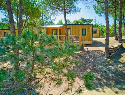 Außenansicht des Cottage 5 Pers 3 Blumen